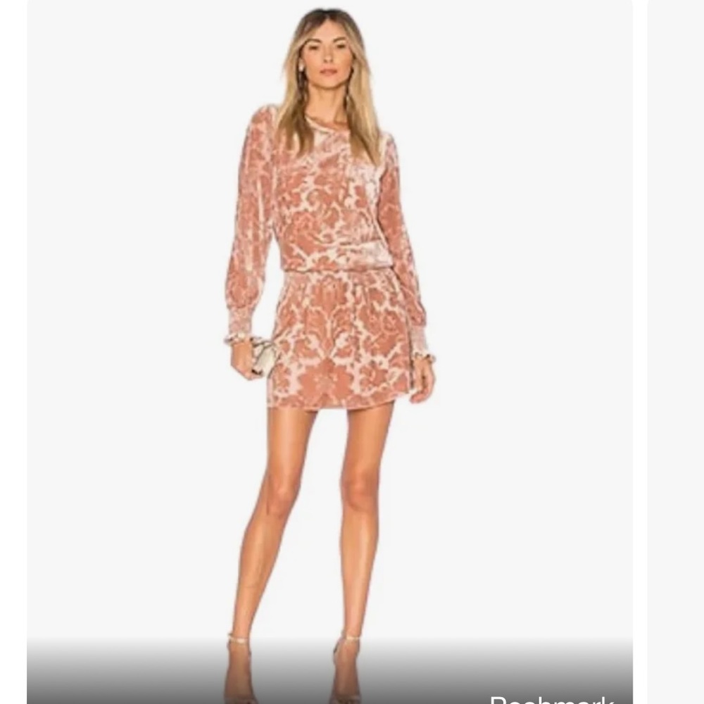 Parker Carmindy dress in nude size small
